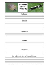 Wasserschildkröte-Steckbriefvorlage.pdf